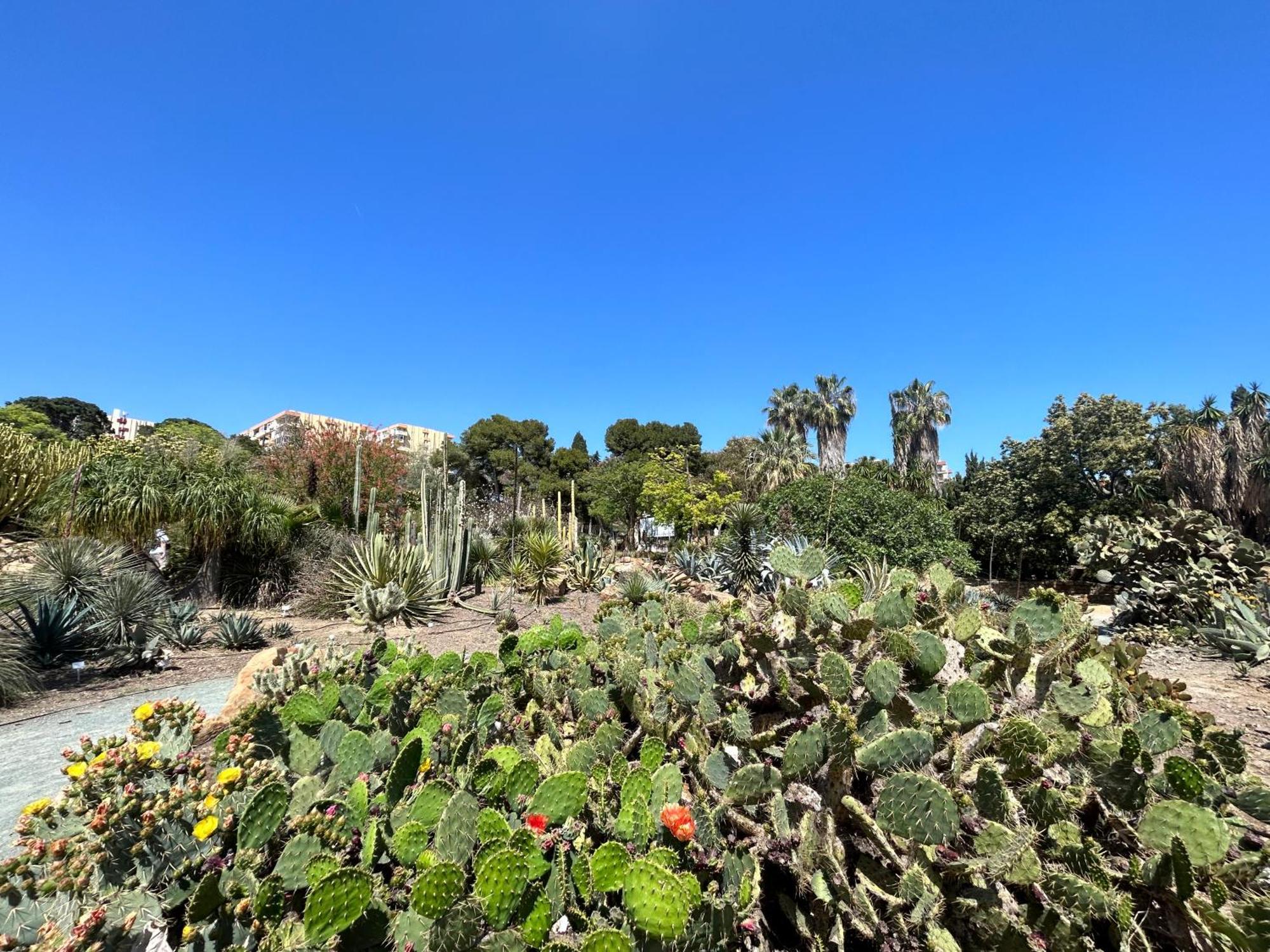 Acogedor Apartamento En Benalmadena Vistas Esterno foto